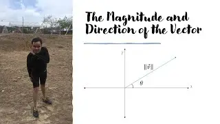 Calculating The Magnitude and Direction of the Vector