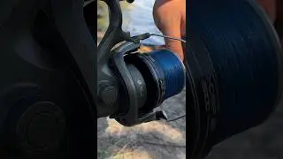 #shorts