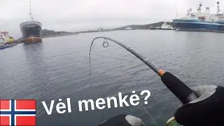 Žvejyba Norvegijoje. Nauja meškerė ir rimtas kibimas (Norvegija).