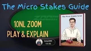 The Micro Stakes Guide - 10NL Zoom Play & Explain!