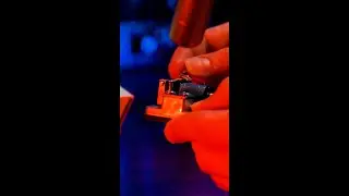 Hologram Microcosm: Shaker + Music Box