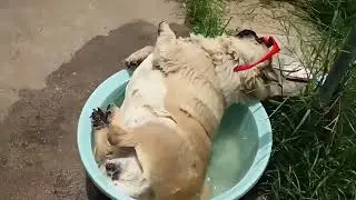 на чиле, на расслабоне))))
