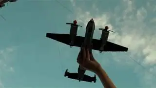 Дельфин 713