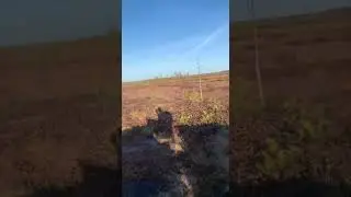 Видео от владельца вездехода ТУНДРА