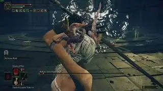 Elden Ring Milady Sword vs Rellana | No Mimic DLC Boss Fight/Build!