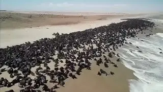 Такое Точно Не Каждый День Увидишь! Случаи На Пляже 1 на Миллион Снятые На Камеру
