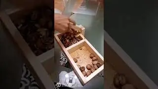 Spravica za razbijanje oraha