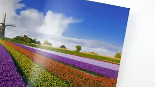 Papel fotográfico mate - Superfícies para as páginas dos Álbuns Digitais