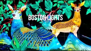 Boston Lights, Franklin Park Zoo