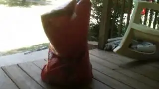 Harlem Shake *Ol roy dog food*