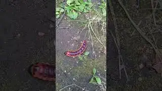 ваш выход из закольцовки - знаки повсюду,  кто видит 🤫👁️