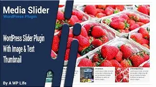 WordPress Slider Plugin With Image & Text Thumbnail - Media Slider Premium
