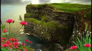 Shoreline Serenity | A Meditative Oasis Amidst the Crimson Roses | #apalaceofroses 🎵