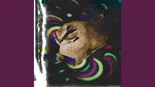FLOPPA PHONK