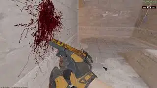 ACE (Glock) 1v5 Pistol Round