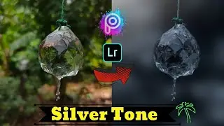 Silver Tone |Lightroom edit|Picsart|
