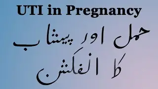 UTI in Pregnancy (Urdu/Hindi)