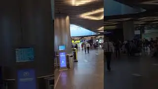 Внуково, вообще нет очередей