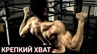 ПОДТЯГИВАНИЯ ДЛЯ ПРОКАЧКИ ХВАТА • 🔥10 ВИДОВ🔥 ПОДТЯГИВАНИЙ - WORKOUT 💪