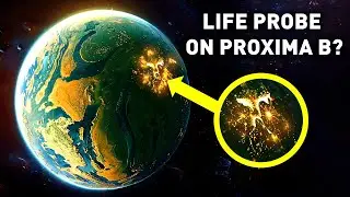 Life Probe from Proxima Centauri B arrived: New Earth found by James Webb Space Telescope