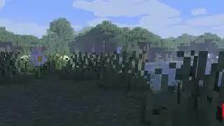 11second vid