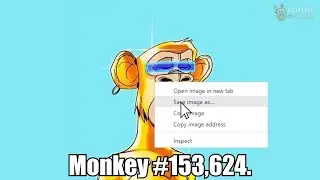 NFT Screenshots Meme Compilation (2021)