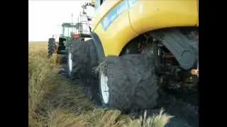 Harvest Australia