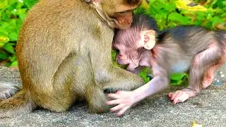 Today Newborn Baby It`S Very Happy To Leaning Walk And Playing With Brother