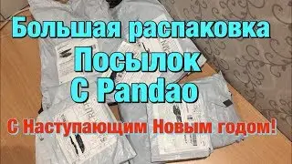 МНОГО ПОСЫЛОК С ПАНДАО. РАСПАКОВКА И ОБЗОР! Товары за БАЛЛЫ!