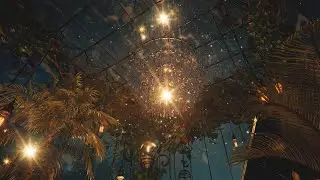 🎇A Glass Shelter Under The Dazzling Stars I Immersive Experience [4K]
