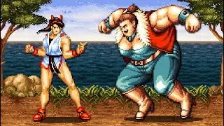 Fighter's History Revenge (OpenBoR) All Bosses (No Damage)