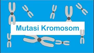 Mutasi Kromosom