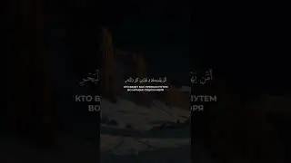 Аяты из суры 27 «Муравьи»