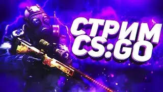 СТРИМ С ПОДПИСЧИКАМИ CS:GO | ИГРАЕМ В ММ | ИГРАЕМ В НАПАРНИКИ | ОБЩАЕМСЯ