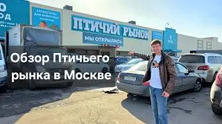 Moscow's new bird market. All the exotic in one place.