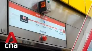 Signalling fault causes delays on North-South Line