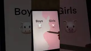 BATTLE! BOYS OR GIRLS! WHO DID WIN?-SST 
