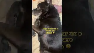 Там не соскучишься ! 