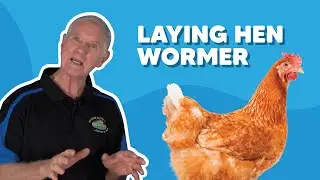 Laying Hen Wormout Solution - FAQ with Dr Tony Gestier