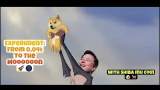 How far can I go with 0,03$ worth of Shiba Inu Coin ? 