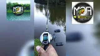 Arremesso perfeito sem cabeleira !!!