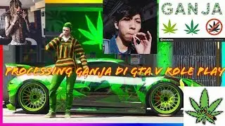 (MAFIA) Proses Ganja Sampai Jual ke NPC | GTA V ROLEPLAY INDONESIA.