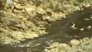 Походите на цар Калоян (4)