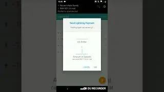 Donating 1 Satoshi ($0,000035) using the Bitcoin Lightning Network