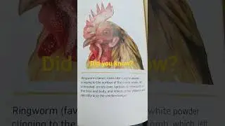 Drop a comment & let me know if you would like a short everyday like this.  Like & Sub for more.