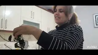 GÜNLÜK  VLOG