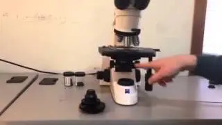 Installing Zeiss Axiolab w/ Phase