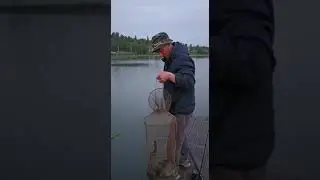 Доброе утро друзья!