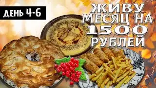 Выживаю месяц на 1500 рублей. Осень 2024 год. День 4-6.