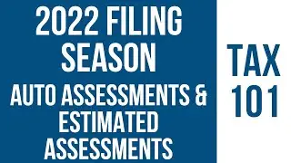 Auto and Estimated Assessments - 2022 Tax Return